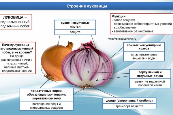 Кракен даркнет купить