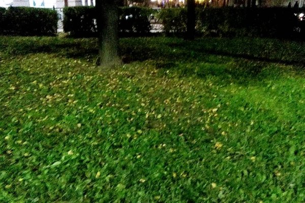 Правильная ссылка на кракен